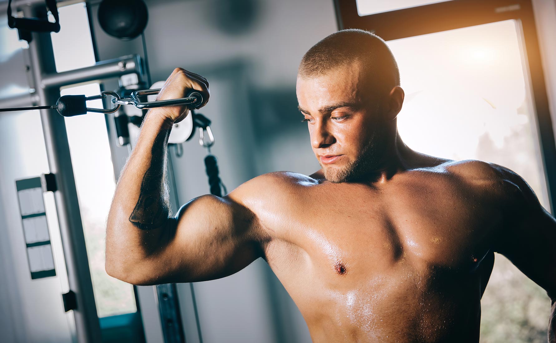 Is Muscle Memory In Bodybuilding A Myth Or Is It True Is Muscle Memory In Bodybuilding A Myth Or Is It True